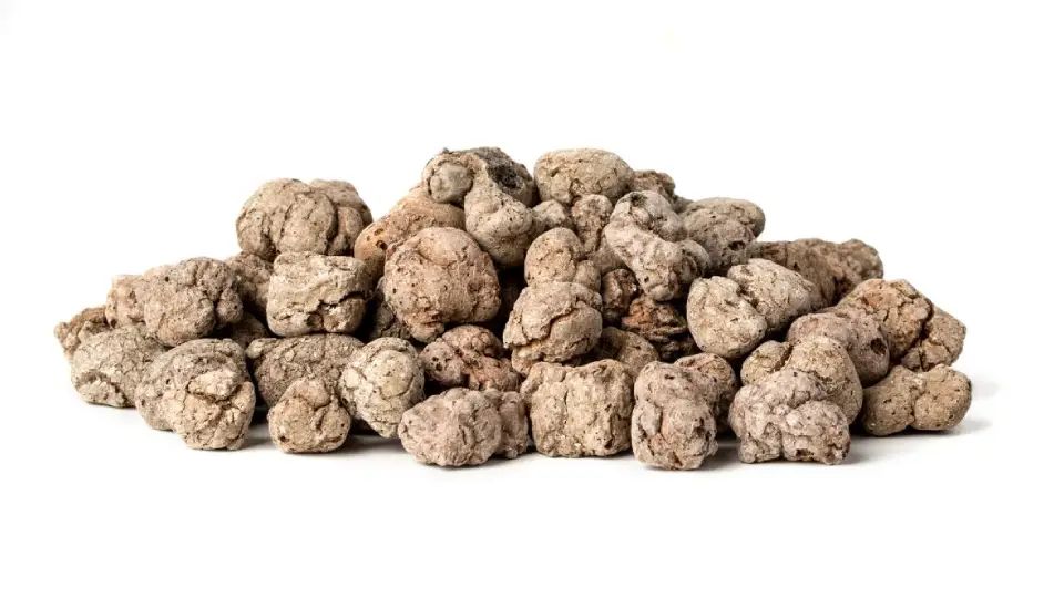 Budowa Domów Limanowa - MyQu.be